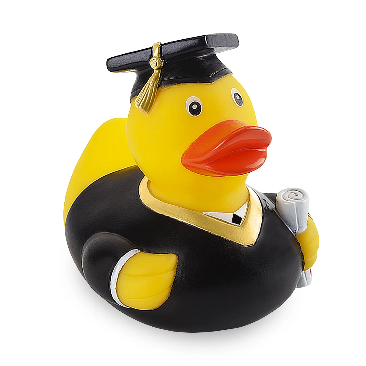 ברווז סיום לימודים רועי